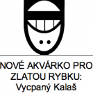 Silvestrovská oslava: Rok 2012