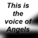 the angel_voice