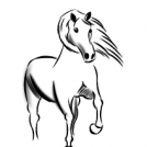 horse
