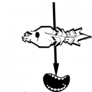 Festival de sardinas