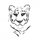 Who Needs colors