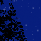 Moonlight