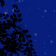 Moonlight