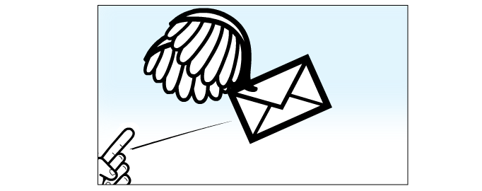 e-mail send!