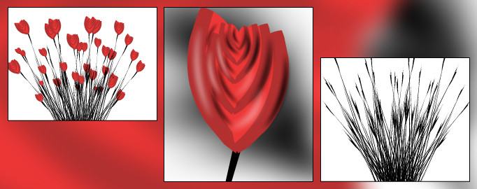 Roses