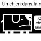 Un chien dans la nuit...