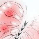 butterfly 2