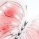 butterfly 2
