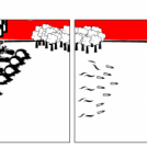 Robots Go Hunting