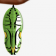 Chrysalis