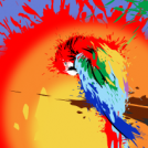 parrot at sunset