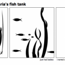 Maria's fishes in Maria's fish tank