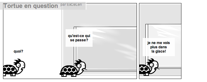 Tortue en question