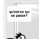 Tortue en question