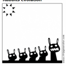 Rabbits evolution