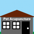 Pet Acupuncture