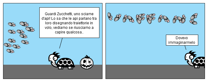 Api