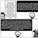 Speciation part 2