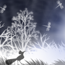 White night