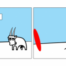 The bull