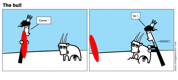 The bull