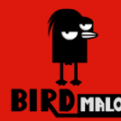 Bird Malo