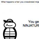 Ninjaturtle