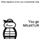 Ninjaturtle