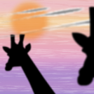 Safari