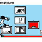 My best pictures