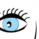 the face