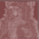 Ara