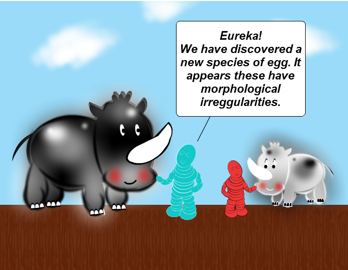 Morphological Irreggularities