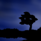 Night light