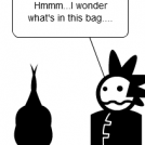 Letting The Cat Out Of The Bag - Bad Idea!