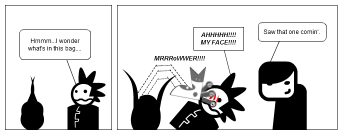 Letting The Cat Out Of The Bag - Bad Idea!