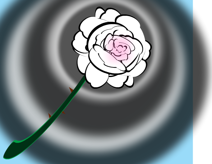 White Rose