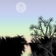 Peaceful evening