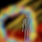 A little tribute to Ray Manzarek