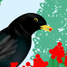 Zozoak -Blackbirds