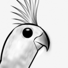 Rocky Goes Black-and-White!