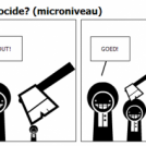 Wat is een goede genocide? (microniveau)