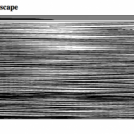 Elements of landscape