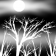 Moonmist
