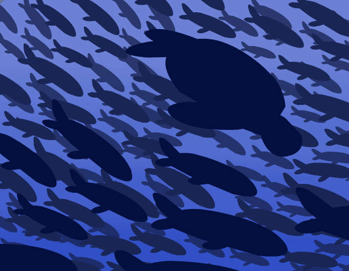 peces (n)