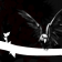 flight of the parrot...