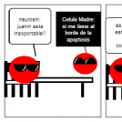 la mitosis