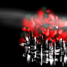 strawberry fields forever