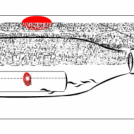 Message in a bottle