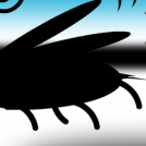 buggg